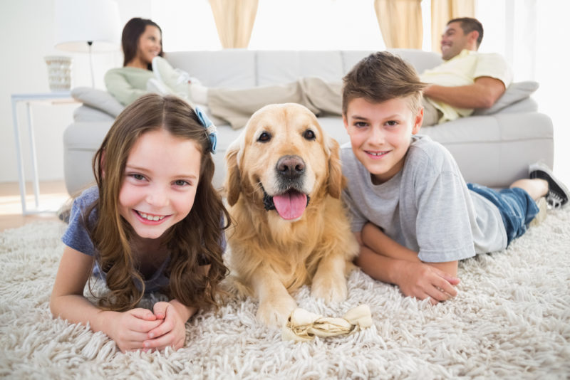 Geothermal Heating and Cooling Systems Explained for Henderson, KY